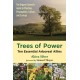Trees of Power: Ten Essential Arboreal Allies