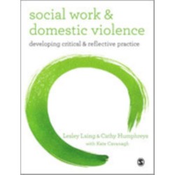Social Work and Domestic Violence: Developing Critical and Reflective Practice
