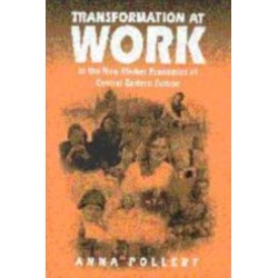Transformation at Work: In the New Market Economies of Central Eastern Europe