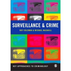 Surveillance and Crime