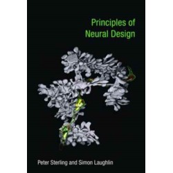 Principles of Neural Design
