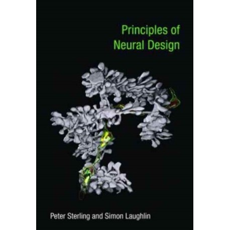 Principles of Neural Design