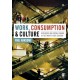 Work, Consumption and Culture: Affluence and Social Change in the Twenty-first Century