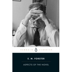 Aspects of the Novel