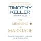 The Meaning of Marriage: Facing the Complexities of Commitment with the Wisdom of God