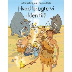 Hvad brugte vi ilden til?