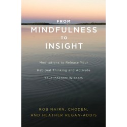 From Mindfulness to Insight: The Life-Changing Power of Insight Meditation
