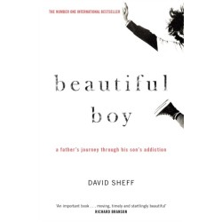 Beautiful Boy: A Father's Journey Through His Son's Addiction
