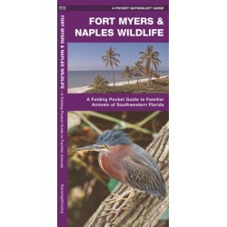 Fort Myers & Naples Wildlife: A Folding Pocket Guide to Familiar Animals of Southwestern Florida