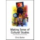 Making Sense of Cultural Studies: Central Problems and Critical Debates