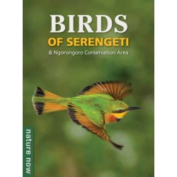 Birds of Serengeti & Ngorongoro Conservation Area