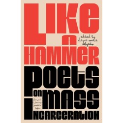 Like a Hammer: Poets on Mass Incarceration