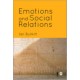 Emotions and Social Relations