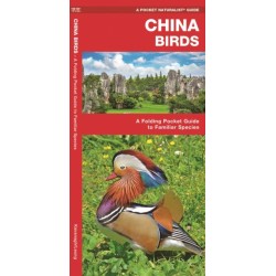 China Birds: A Folding Pocket Guide to Familiar Species