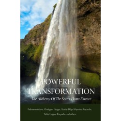 Powerful Transformation: The Alchemy of The Secret Heart Essence