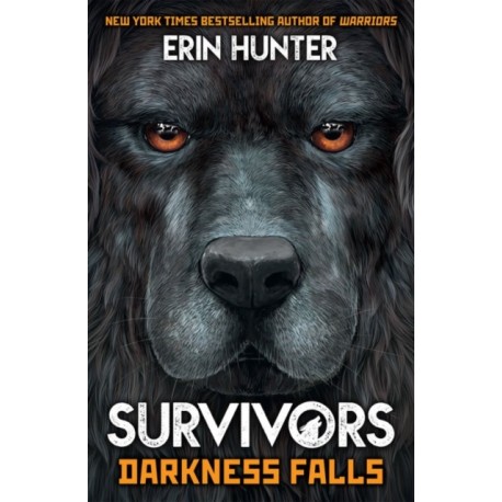 Survivors Book 3: Darkness Falls