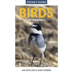 Pocket Guide to Birds of Namibia