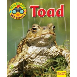 Wildlife Watchers: Toad