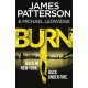Burn: (Michael Bennett 7). Unbelievable reports of a murderous cult become terrifyingly real