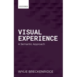 Visual Experience: A Semantic Approach