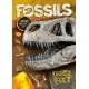 Fossils