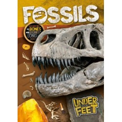 Fossils