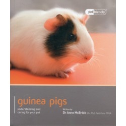 Guinea Pig - Pet Friendly