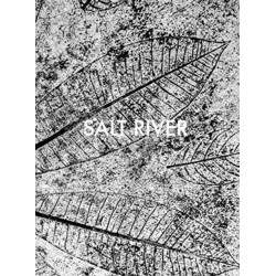Sebastian Posingis: Salt River