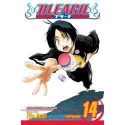 Bleach, Vol. 14: White Tower Rocks