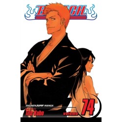 Bleach, Vol. 74: The Death and the Strawberry