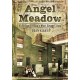 Angel Meadow: Victorian Britain's Most Savage Slum