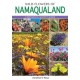Wild Flowers of Namaqualand: A Botanical Society guide
