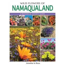 Wild Flowers of Namaqualand: A Botanical Society guide