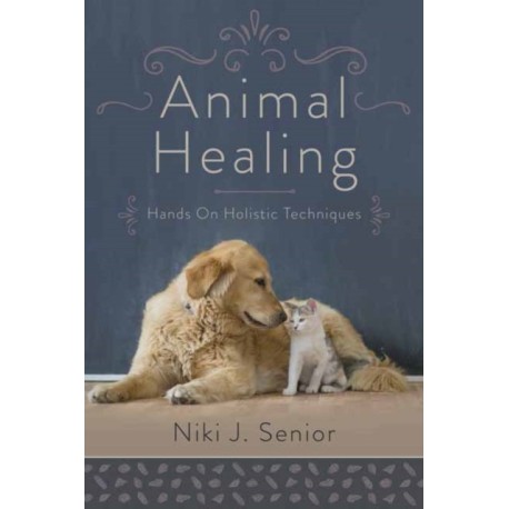 Animal Healing: Hands On Holistic Techniques