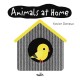 Baby Basics: Animals at Home