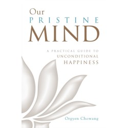 Our Pristine Mind: A Practical Guide to Unconditional Happiness