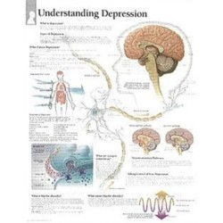 Understanding Depression Paper Poster