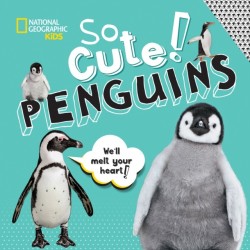 So Cute: Penguins