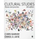 Cultural Studies: Theory and Practice