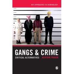 Gangs & Crime: Critical Alternatives