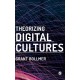 Theorizing Digital Cultures