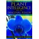 Plant Intelligence and the Imaginal Realm: Beyond the Doors of Perception into the Dreaming of Earth