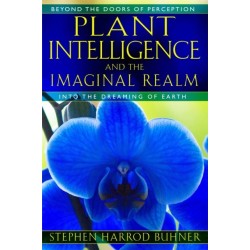 Plant Intelligence and the Imaginal Realm: Beyond the Doors of Perception into the Dreaming of Earth