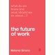 What Do We Know and What Should We Do About the Future of Work?