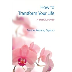How to Transform Your Life: A Blissful Journey