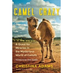 Camel Crazy: A Quest for Healing in the Secret World of Camels