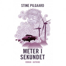 Meter i sekundet
