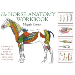 Horse Anatomy Workbook: A Learning Aid for Students Based on Peter Goody's Classic Work, Horse Anatomy