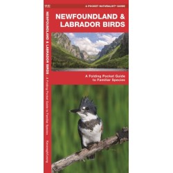 Newfoundland & Labrador Birds: A Folding Pocket Guide to Familiar Species
