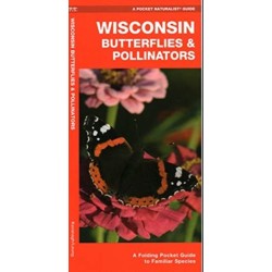 Wisconsin Butterflies & Pollinators: A Folding Pocket Guide to Familiar Species